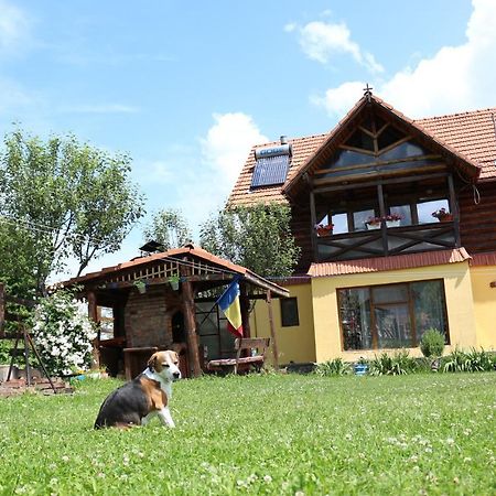 Cabana Ollie Retezat Râu Bărbat Exterior foto