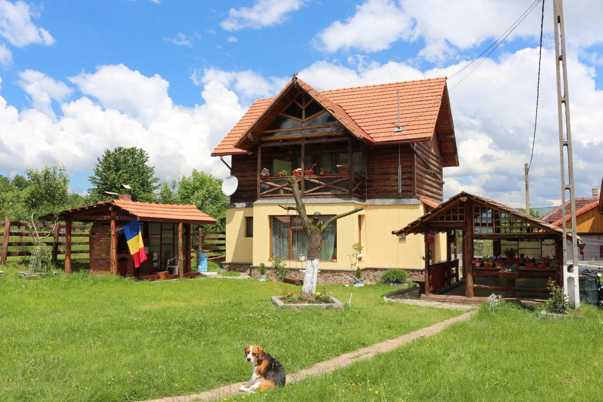 Cabana Ollie Retezat Râu Bărbat Exterior foto